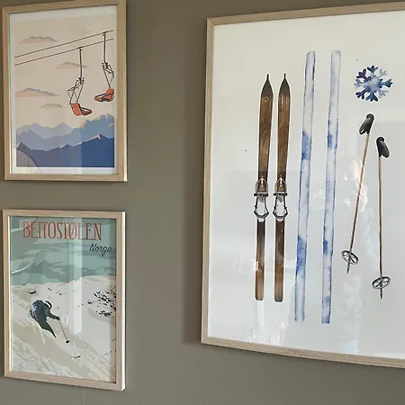 Central, Cozy & Pet-friendly Beitostolen