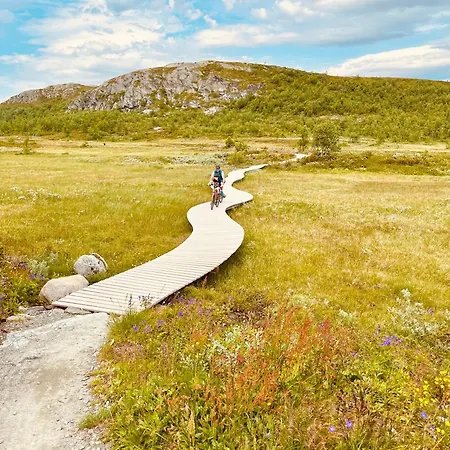 Central, Cozy & Pet-friendly Leilighet *