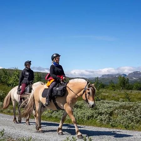 Central, Cozy & Pet-friendly アパート