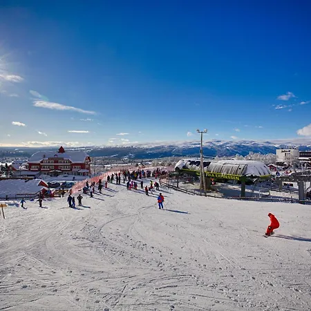 Central, Cozy & Pet-friendly