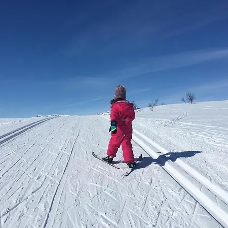 Central, Cozy & Pet-friendly