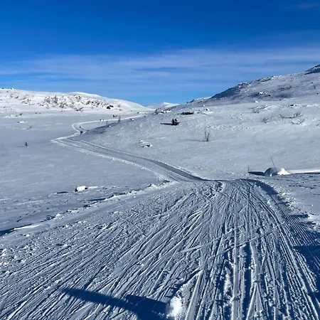 Central, Cozy & Pet-friendly Leilighet Beitostolen